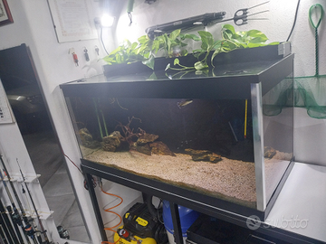 Acquario 320 litri