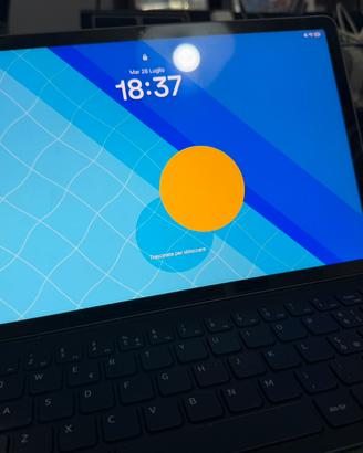 Tablet Samsung Galaxy S10FE con garanzia e acc