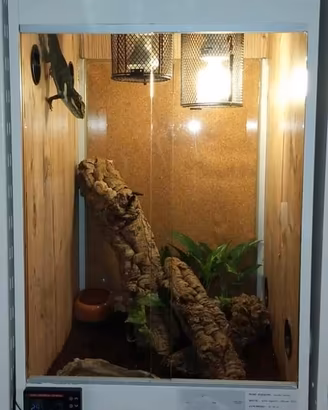 teca per rettili