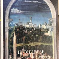 Il Biellese dal Medioevo all'Ottocento