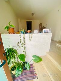 Ferragosto casa vacanze Manduria 7 posti letto