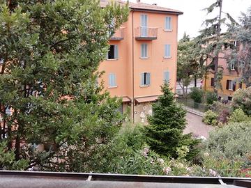 Grazioso bilocale tutto ristrutturato come nuo