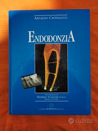 libro ortodonzia