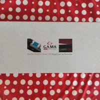 Piastra GA.MA Professional CP3 per capelli