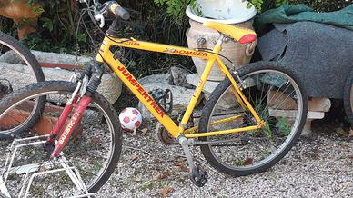 MTB ECONOMICA ruota 26 con cambio uomo