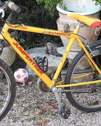 MTB ECONOMICA ruota 26 con cambio uomo