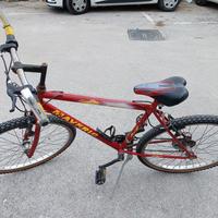 Bicicletta Mountain bike 