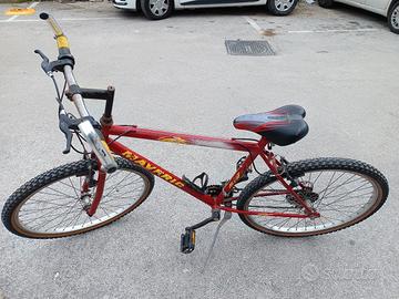 Bicicletta Mountain bike 
