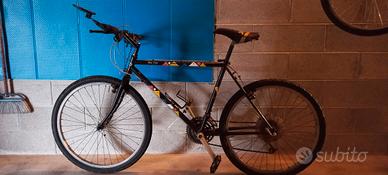 Bicicletta rampichina