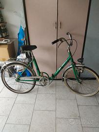 bicicletta pieghevole