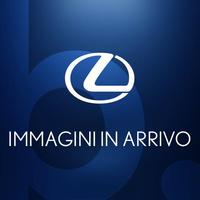 Lexus NX 2.5 plug-in F-Sport 4wd e-cvt
