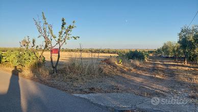 San Giovanni Rotondo Terreno Edificabile 12.615 mq