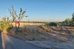 San Giovanni Rotondo Terreno Edificabile 12.615 mq