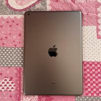 Apple Ipad