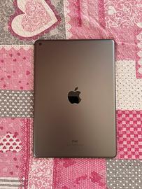 Apple Ipad
