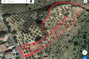 Vendersi terreno EDIFICABILE +AGRICOLA
