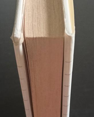 romanzo 