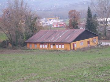 Locale commerciale a lioni