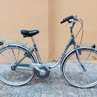 Bici Vicini con sterzo rotto