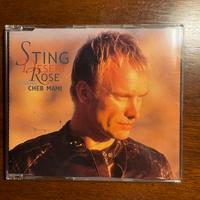 Sting Desert rose Cheb Mami