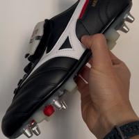 Mizuno morelia