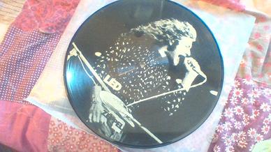 LP Disco 33 Giri Led Zeppelin 1973 buttle 