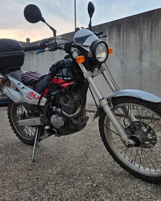 Beta motor Alp 200 trial cross