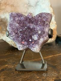 Farfalla di ametista su cluster