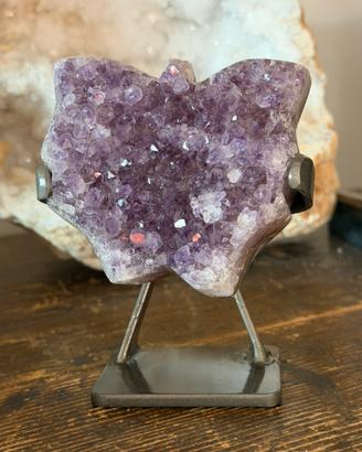 Farfalla di ametista su cluster