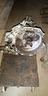 cambio-marce-focus-1-0-ecoboost-l1tr7002gfc