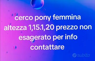Pony femmina 1,15.120