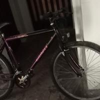 MTB  raggio 26 