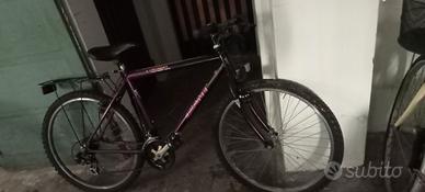 MTB  raggio 26 