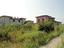 Immagine 11