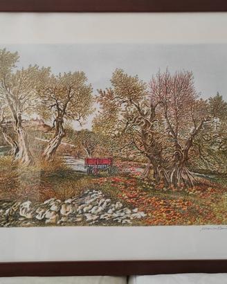 Quadro Litografia firmata numerata Marisa Benetti