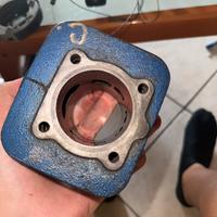 Pezzi scarabeo 50