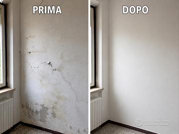 Muratore