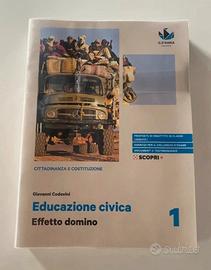 Educazione civica 1 Effetto domino