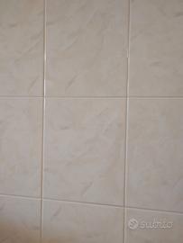 Piastrelle per rivestimento.