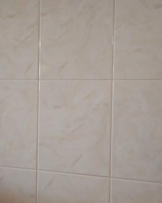 Piastrelle per rivestimento.