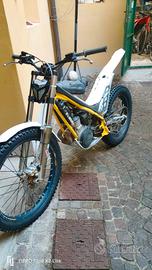 trial targato scherco 300