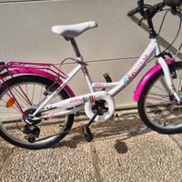 Bicicletta bambina misura 20
