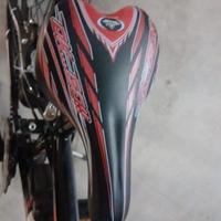 bicicletta ragazzo 24'