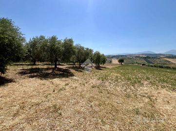 TER. AGRICOLO A MOSCIANO SANT'ANGELO