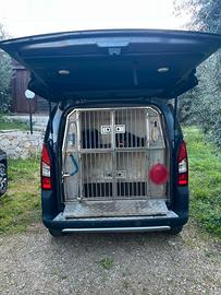 Peugeot Partner Teepe Dangel