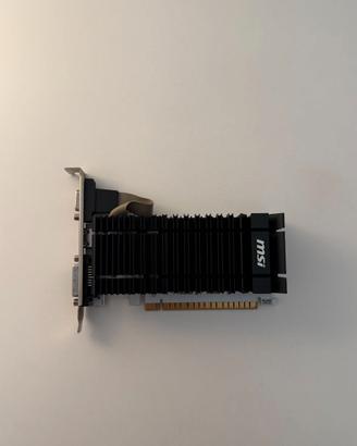 Scheda Video MSI GT 730 2GB DDR3 LP HDMI VGA DVI