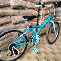 Bicicletta