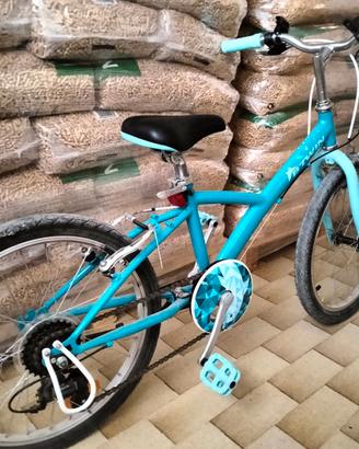 Bicicletta