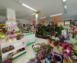 Locale commerciale di 130 mq