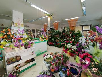 Locale commerciale di 130 mq